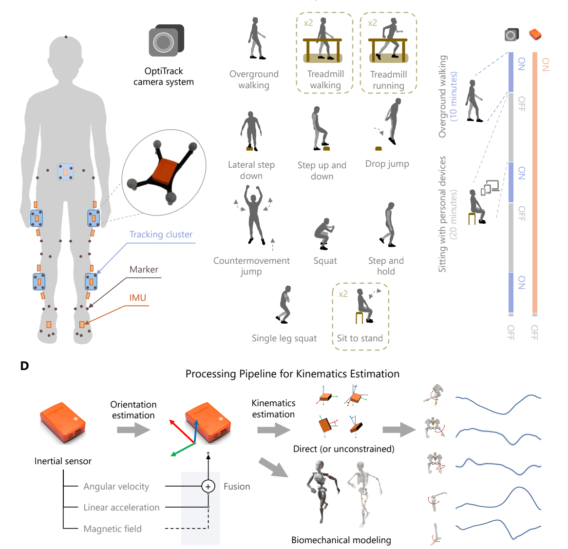 When Biomechanical Modeling Doesn't Help: A Fundamental Misconception in Inertial Motion Tracking